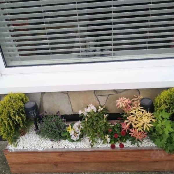 d4522968-36c0-42d0-b511-2713bafd24bd